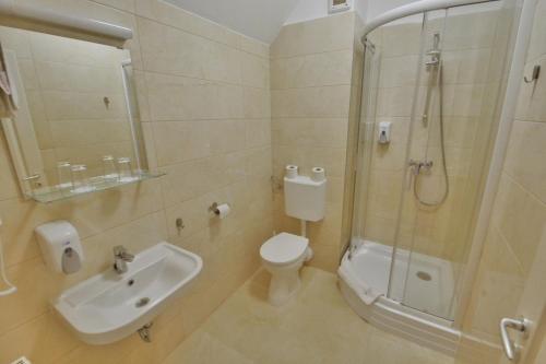 a bathroom with a toilet and a shower and a sink at Hotel Platan in Székesfehérvár