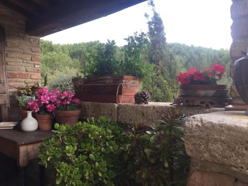a group of potted plants sitting on a balcony at La Vittoria 10 – La Soglia della Val d’Orcia in Chianciano Terme