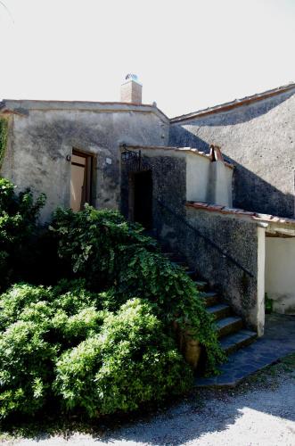 an old building with a door and some bushes at Podere Pinzicalari in Castel del Piano