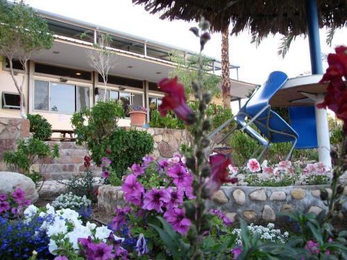 a garden with flowers in front of a building at Arava Hostel in Eilat