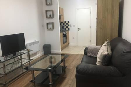 a living room with a black couch and a television at Studio flat in Leicester