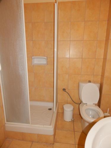 a bathroom with a shower and a toilet at Palmina Mare Villa and Studios in Paralia Vrachou