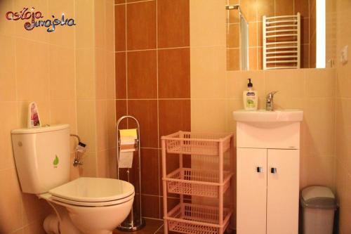 een badkamer met een toilet en een wastafel bij Ostoja Jurajska in Hucisko
