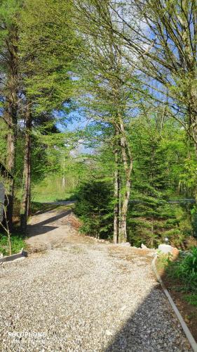 a gravel road in a wooded area with trees at SMARAGD RIVER near Rastoke & Plitvice Lakes in Slunj