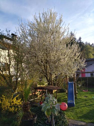a garden with a tree and a playground at Haus Friedburg in Velden am Wörthersee