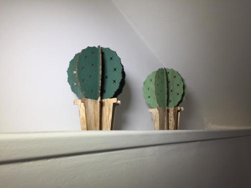 two cacti on top of a shelf at Aduepassi apartments in Manfredonia