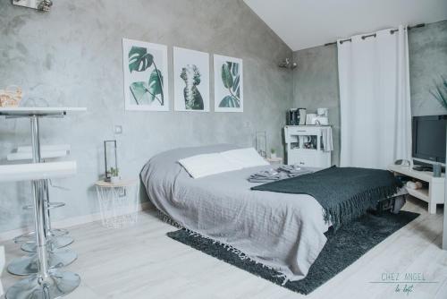 a bedroom with a bed and a television in it at Chez Angel in Varennes-sur-Morge