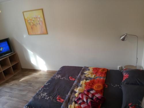 a living room with a couch and a television at Apartment Arena Riga quiet center FREE PARKING in Rīga