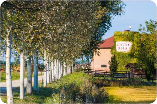 a row of trees with a sign that reads trinity inn at Tenuta Isola in Langosco