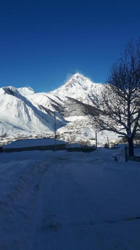 Peisaj natural din apropierea acestei pensiuni