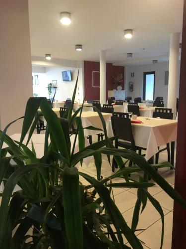 a room with tables and chairs and a potted plant at Hotel Royal in San Benedetto del Tronto