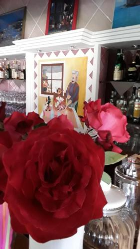 Fotografie z fotogalerie ubytování Hotel Pinocchio v destinaci Arzachena