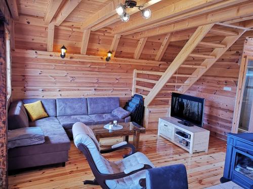 ein Wohnzimmer mit einem Sofa und einem TV in der Unterkunft Planinska kuca in Žabljak