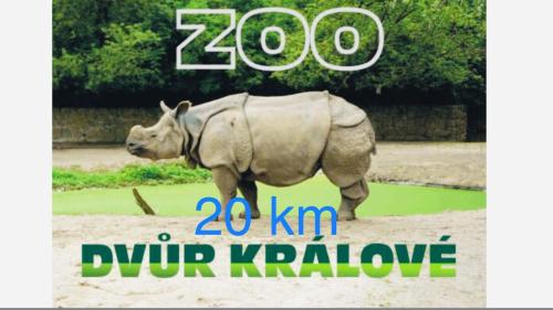 a poster of a rhino standing in the dirt at Penzion Úpice Luky in Úpice