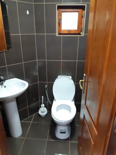 a bathroom with a toilet and a sink at Gradine - Katun kamp in Plav