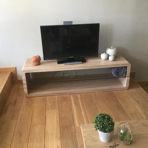 TV a/nebo společenská místnost v ubytování Studio Hippique