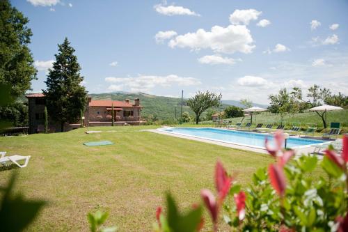 un gran patio con piscina y una casa en Agriturismo La Casina, en Caprese Michelangelo