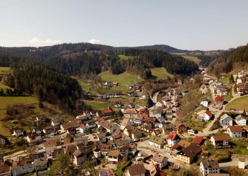an aerial view of a small village in the mountains at Gasthaus Mühlenstube in Lauterbach