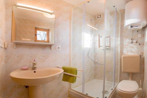 La salle de bains est pourvue d'une douche, d'un lavabo et de toilettes. dans l'établissement Little dream house in a perfect spot, à Zalog