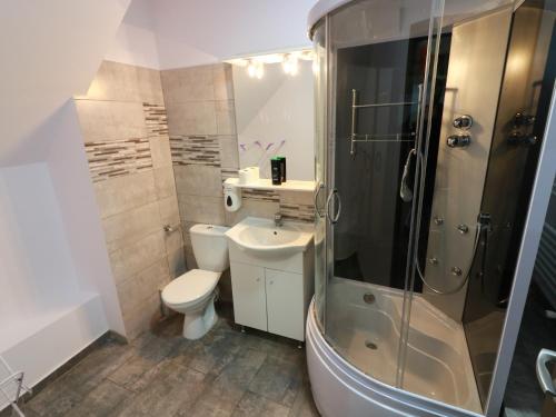 a bathroom with a shower and a toilet and a sink at Flowers House Sibiu in Sibiu