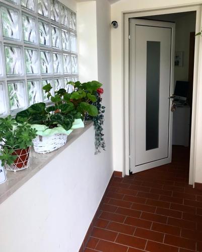 Treviso Rooms – Photos 3
