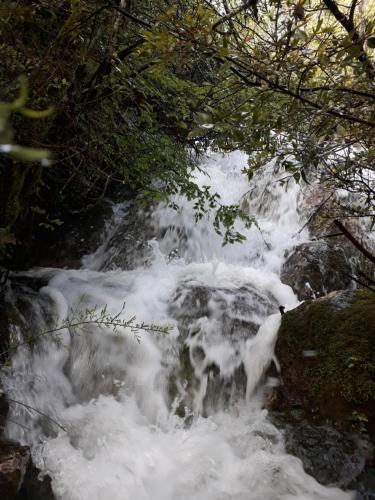 a stream of water rushing down a waterfall at Camp Sunny Hills in Virpazar