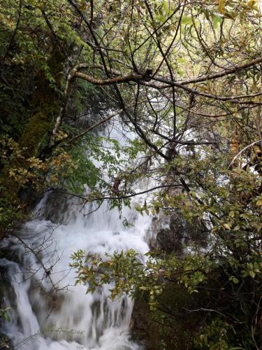 a waterfall in the middle of a forest at Camp Sunny Hills in Virpazar