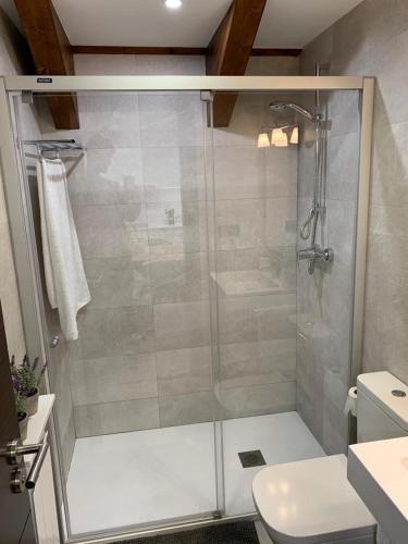 a bathroom with a shower and a toilet at Tuca del Mont in Benasque