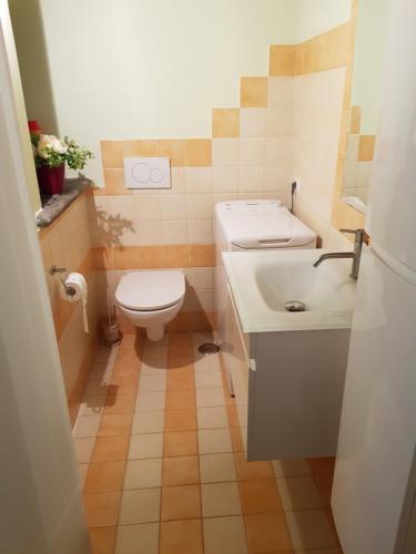 La petite salle de bains est pourvue de toilettes et d'un lavabo. dans l'établissement Casa Sermichelino, à Vitorchiano