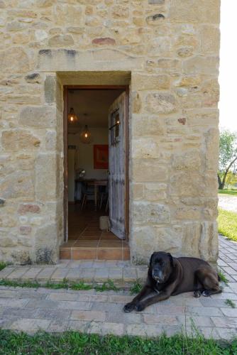 a dog laying in the doorway of a stone building at Cal Menescal in Les Olives