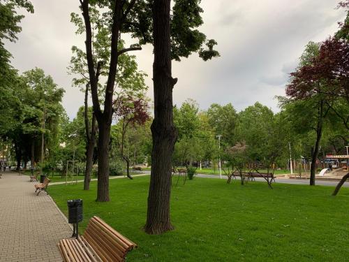 Taman di luar Floreasca Apartment Bach