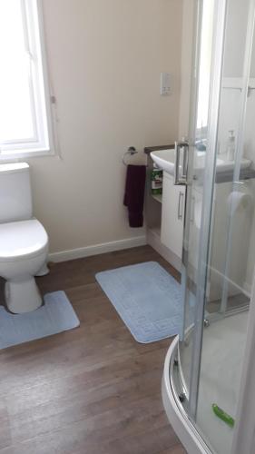 a bathroom with a toilet and a sink and a shower at Luxury 6 berth lodge at Quince 10 in Ferndown