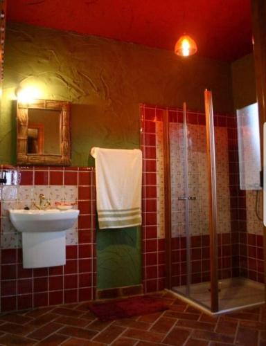 a bathroom with a sink and a shower at Casa rural eras de pantrillar in Ciruelas