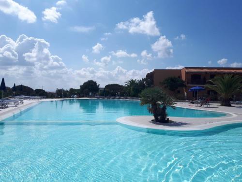 a large swimming pool with a palm tree in the middle at Casa Fabio in Stintino
