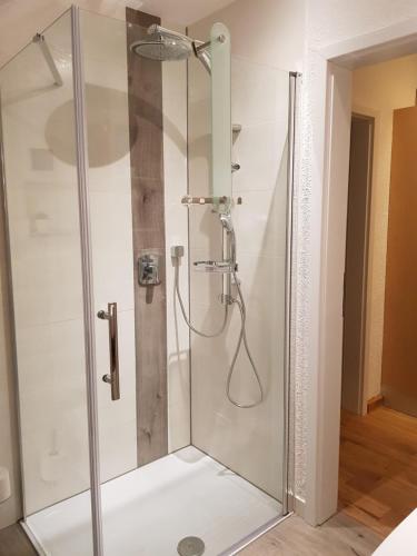 a shower with a glass door in a bathroom at Zettis Ferienhäusle in Berg bei Ravensburg