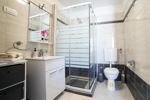 y baño con ducha, aseo y lavamanos. en Apartment Podini, en Brseč
