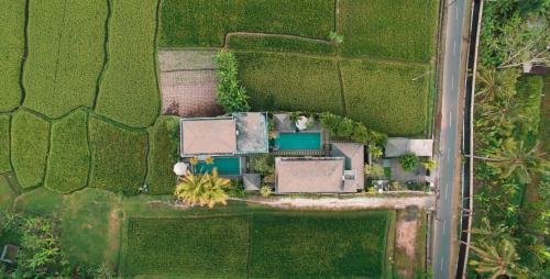 eine Luftansicht eines Hauses auf einem Feld in der Unterkunft Alosta Luxury Private Villa in Ubud