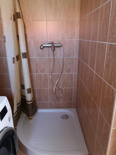 a bathroom with a shower with a toilet at Rákóczi Vendégház in Poroszló