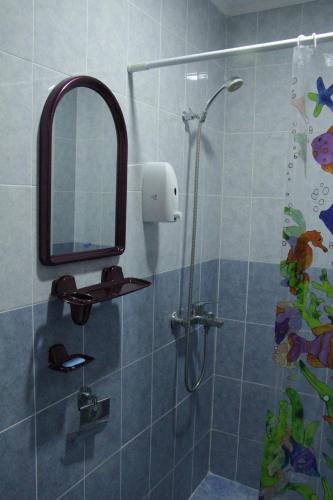 a bathroom with a shower with a mirror at Snow Leopard Hostel in Karakol