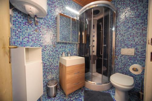 a blue tiled bathroom with a shower and a toilet at Apartment Viki in Kranjska Gora