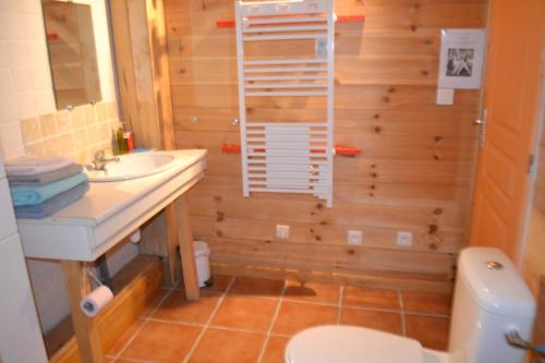 La salle de bains est pourvue de toilettes et d'un lavabo. dans l'établissement Petit appartement en montagne, à Saint-Julien-en-Champsaur