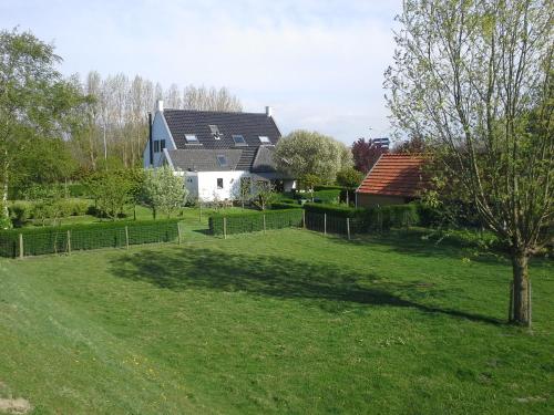 a large yard with a white house and a tree at B&B de Tol in Hulst