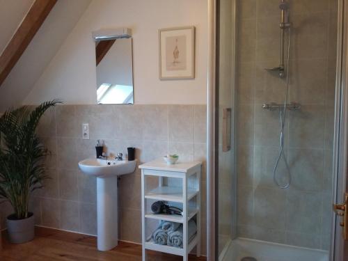 a bathroom with a sink and a shower at La petite grange, La vieille ferme in Ruffiac