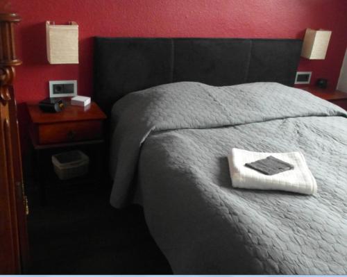 a bedroom with a bed with a red wall at Schuster Villa in Markneukirchen