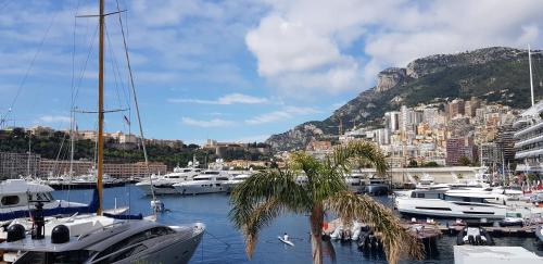 "Le Panorama" Studio 4pers-Vue mer-Piscine