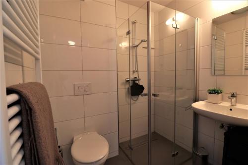 a bathroom with a shower and a toilet and a sink at UplandParcs Residence Astenberg in Winterberg