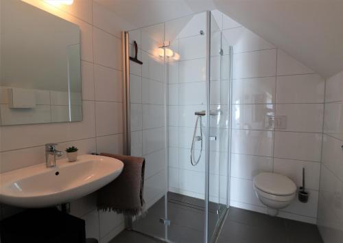 a bathroom with a shower and a sink and a toilet at UplandParcs Residence Astenberg in Winterberg