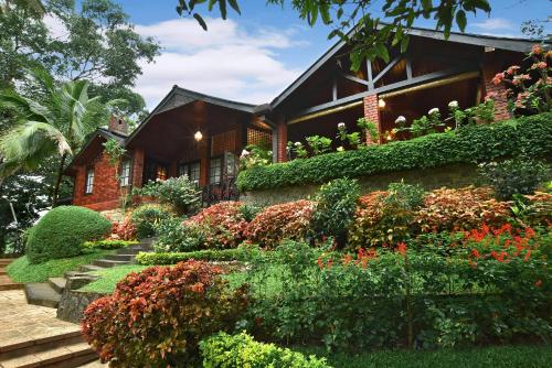 Homes Bungalow by Tree of Life