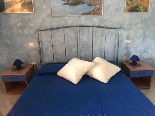 een slaapkamer met een blauw bed met 2 kussens erop bij Domu de Palla- IUN-E5167 in Bauladu