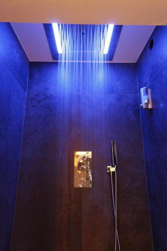 a blue room with a shower with a picture on the wall at Chambres d'hôtes Le Repère des Anges et SPA in Larnod